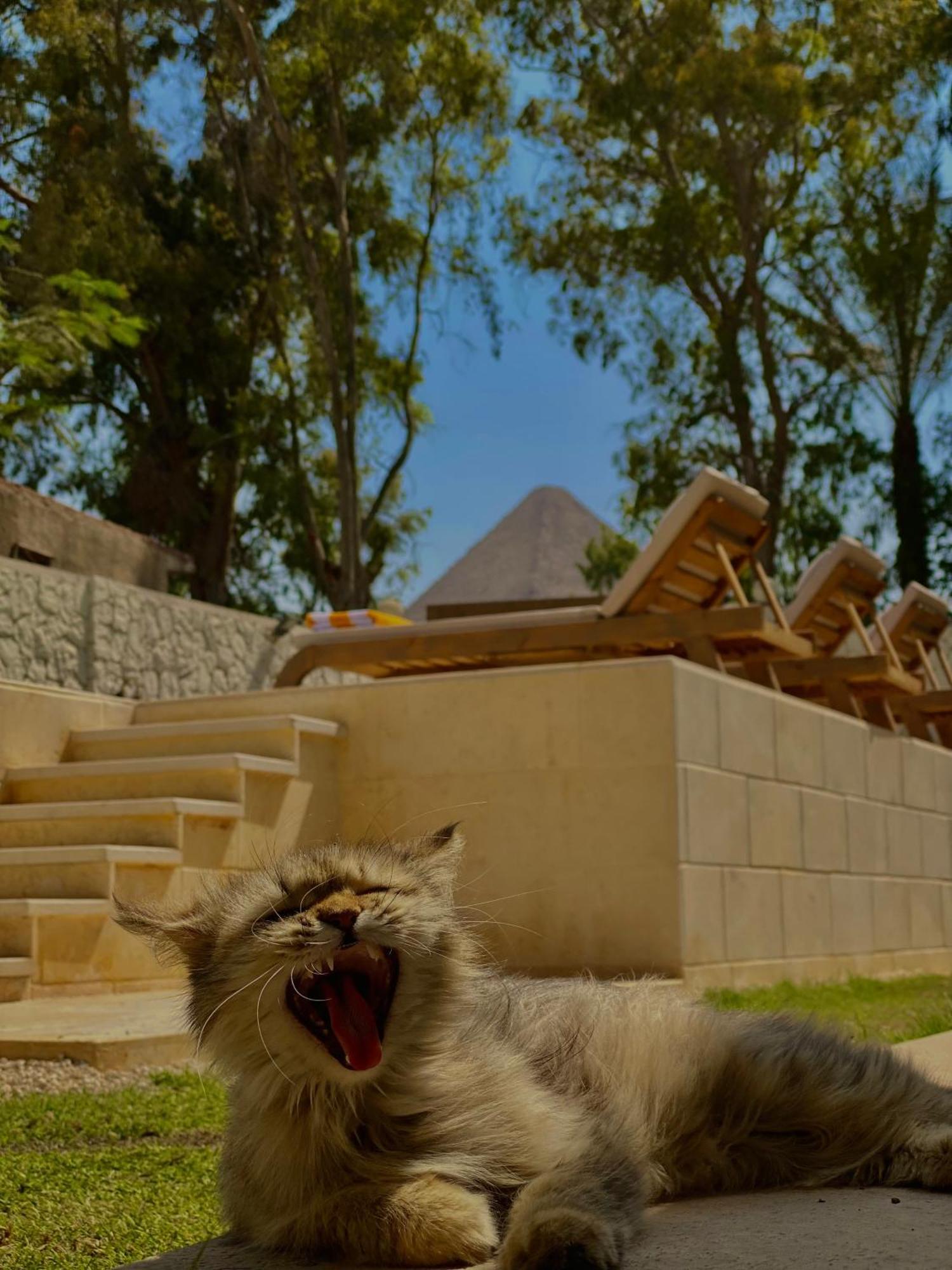 Sphinx House 4* Le Caire